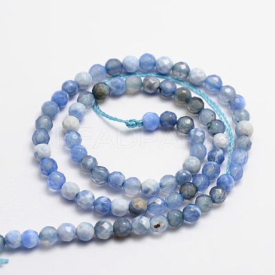 Faceted Natural Agate Round Beads Strands X-G-E318B-4mm-02-1