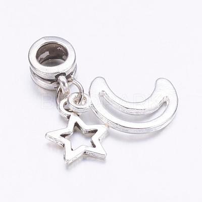 Tibetan Style Alloy European Dangle Charms X-PALLOY-JF00331-1