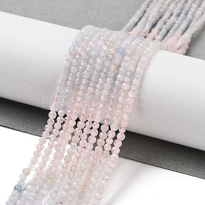 Natural Morganite Beads Strands G-B088-C22-02-1