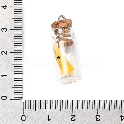 Halloween Glass Resin Wish Bottle Pendants FIND-Z103-04P-1