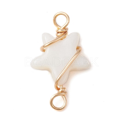 2Pcs 2 Styles Natural Freshwater Shell Copper Wire Wrapped Connector Charms PALLOY-JF02439-1