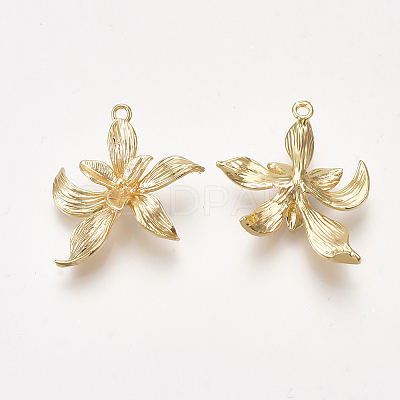 Brass Pendants X-KK-S350-199-1