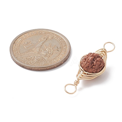 Natural Rudraksha Copper Wire Wrapped Connector Charms PALLOY-JF02067-01-1