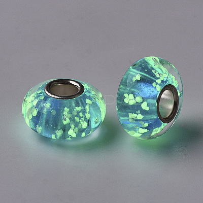 Handmade Lampwork European Beads LAMP-S193-006-1