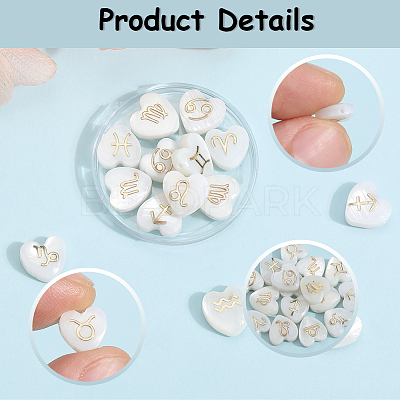 24Pcs 12 Styles Natural White Shell Beads BSHE-SP0001-01-1