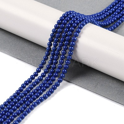Synthetic Turquoise Beads Strands G-U004-02A-1