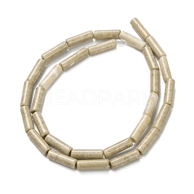 Natural Petrified Wood Beads Strands G-F247-49-1