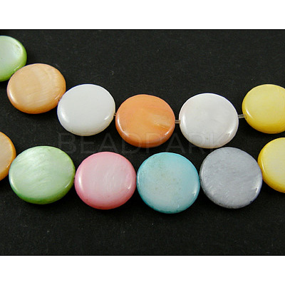 Natural Shell Beads Strands X-SHS034-1-1