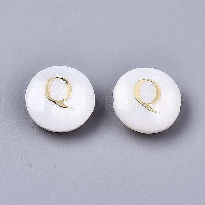 Natural Freshwater Shell Beads SHEL-S266-12Q-1