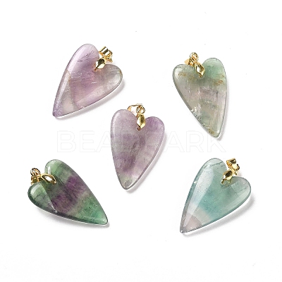 Natural Fluorite Pendants X-G-E570-01G-01-1