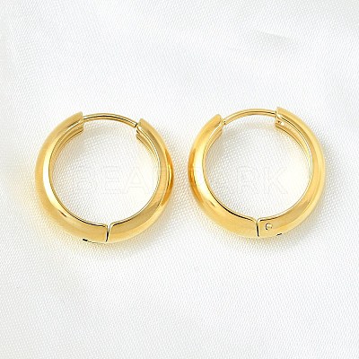 304 Stainless Steel Hoop Earrings EJEW-V005-02G-02-1