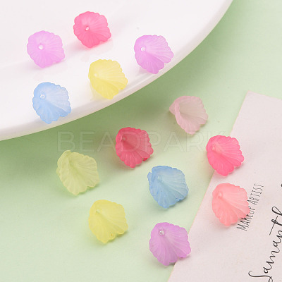 Frosted Acrylic Bead Caps MACR-S371-10A-1