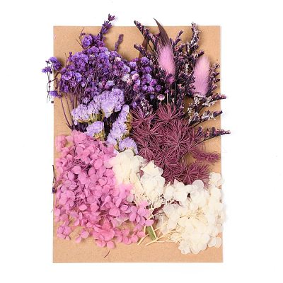 Dried Flower DIY-B018-04-1