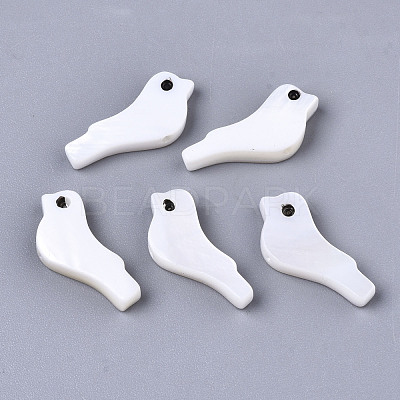 Natural Freshwater Shell Beads SSHEL-R049-02-1