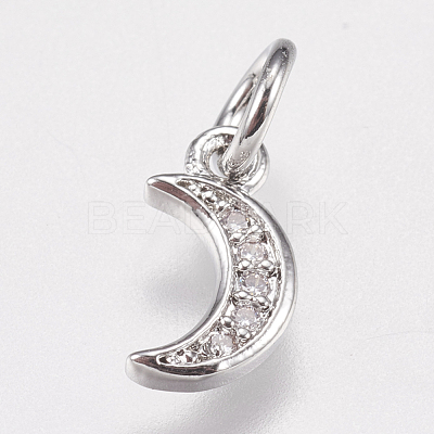Brass Micro Pave Cubic Zirconia Charms ZIRC-E147-59P-1