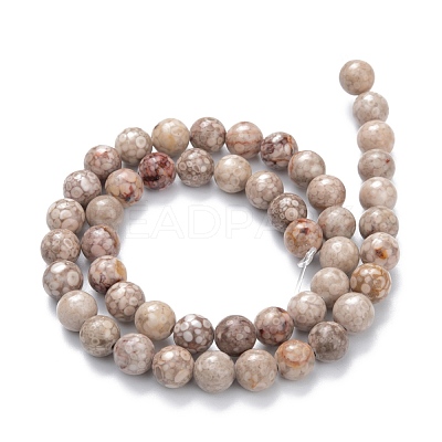 Natural Maifanite/Maifan Stone Beads Strands G-P451-01A-B-1