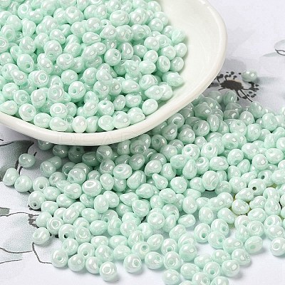 6/0 Glass Seed Beads X1-SEED-M012-01A-07-1