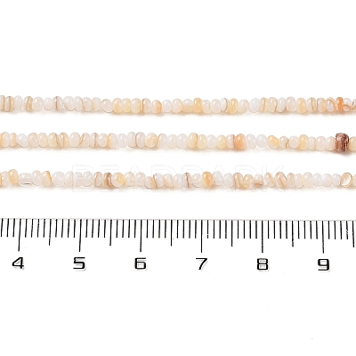 Natural Freshwater Shell Beads Strands SHEL-P017-01A-10-1