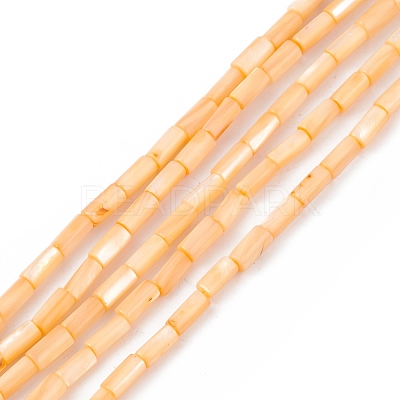 Natural Freshwater Shell Dyed Beads Strands SHEL-M018-11-1