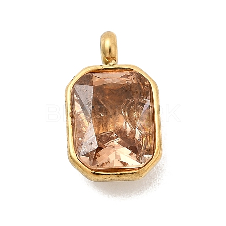 304 Stainless Steel with Rhinestone Pendants STAS-Z179-37G-01-1