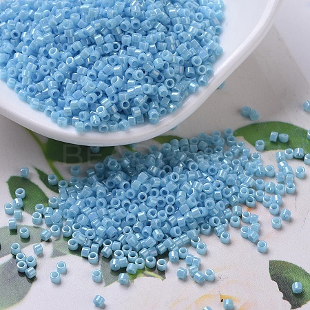 MIYUKI Delica Beads SEED-X0054-DB0215-1
