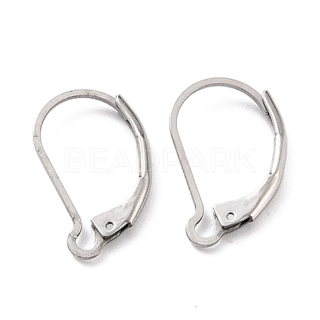 Non-Tarnish 304 Stainless Steel Leverback Earring Findings STAS-K233-04P-1