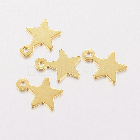 304 Stainless Steel Charms X-STAS-F162-42G-1
