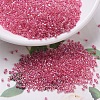 MIYUKI Delica Beads X-SEED-J020-DB0075-1