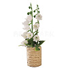 Platic Miniature Ornaments LS-PW-WG36445-01-1
