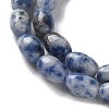 Natural Blue Spot Jasper Beads Strands G-I369-B01-01-4