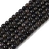 Natural Cordierite/Iolite/Dichroite Beads Strands G-P132-14-6mm-1