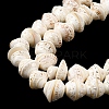 Natural Shell Bead Strands X-BSHE-O016-04-01-4