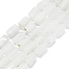 Natural Rainbow Moonstone Beads Strands G-O170-121-1