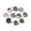 Natural Grey Agate Pendants G-N359-18G-04-1