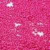 Baking Paint Glass Seed Beads X-SEED-S042-05B-68-3