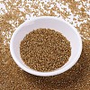 MIYUKI Delica Beads X-SEED-J020-DB1201-2