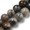 Natural Dendritic Jasper Beads Strands G-R494-A23-03-1
