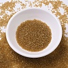 MIYUKI Delica Beads SEED-X0054-DB0119-2