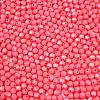 Baking Paint Glass Seed Beads SEED-C004-01N-2