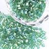 Grade A Glass Seed Beads SEED-S022-05F-1