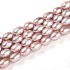 Natural Cultured Freshwater Pearl Beads Strands PEAR-N012-AA-03-2