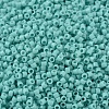 MIYUKI Delica Beads SEED-X0054-DB1136-3