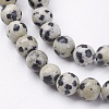 Natural Dalmatian Jasper Stone Bead Strands X-G-R193-14-6mm-3