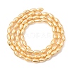 Electroplated Shell Pearl Beads Strands BSHE-C010-01A-2