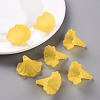 Transparent Acrylic Beads BSF796-C09-8