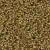 TOHO Round Seed Beads SEED-JPTR15-0747-2