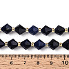 Natural Lapis Lazuli Beads Strands G-T144-23A-02-5
