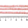 Natural Freshwater Shell Beads Strands SHEL-P017-01B-09-4