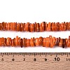 Natural Freshwater Shell Beads Strands SHEL-N037-01B-4