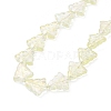 Transparent Electroplate Glass Bead Strands EGLA-C002-FR05-6